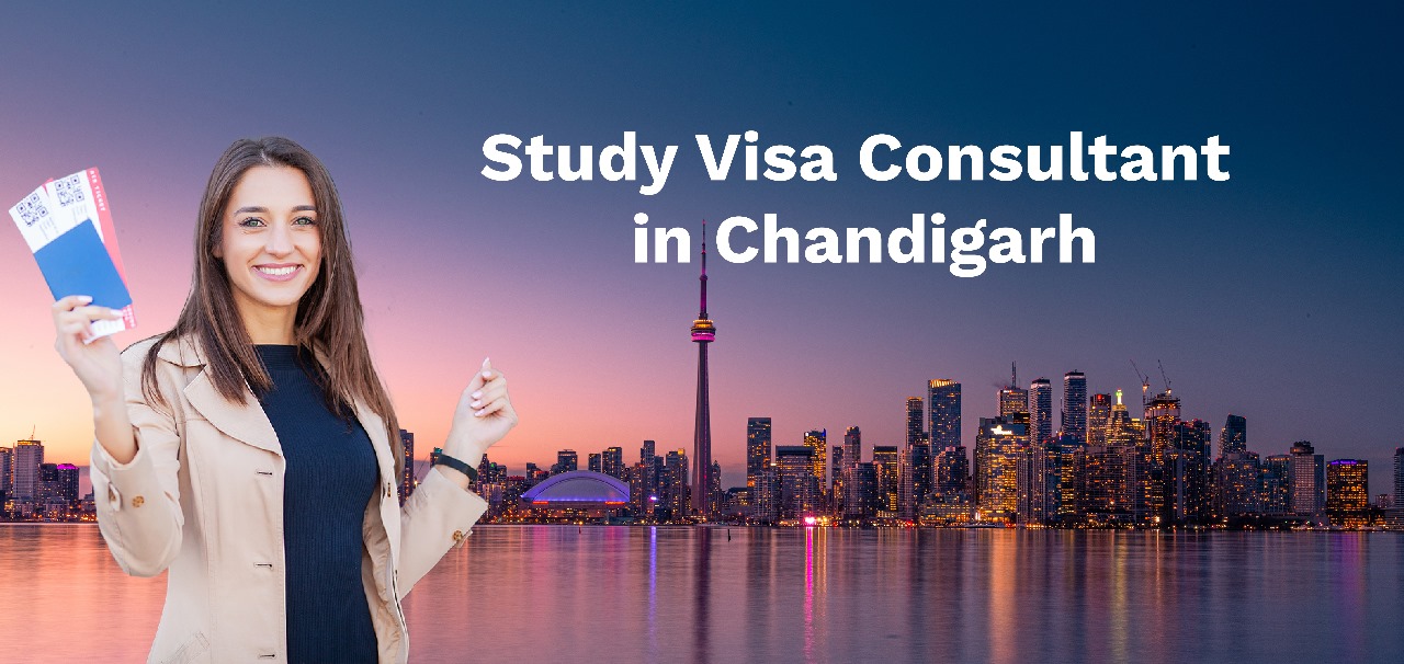 study visa consultants in chandigarh